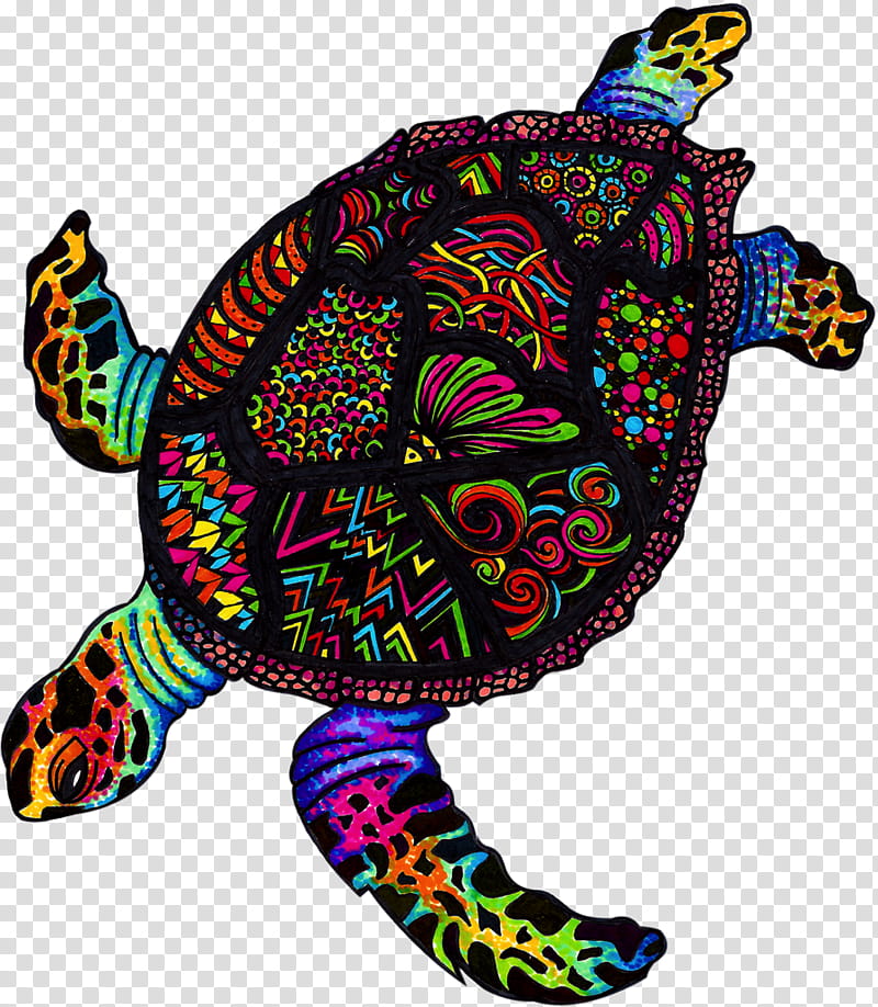 Sea Turtle, Green Sea Turtle, Canvas Print, Art Museum, Artist, Poster, Printing, Drawing transparent background PNG clipart