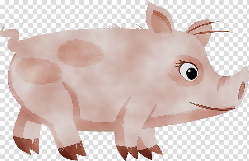 Watercolor Animal, Co Pig, Taihu Pig, Live, Drawing, Cartoon, Watercolor Painting, Wild Boar transparent background PNG clipart