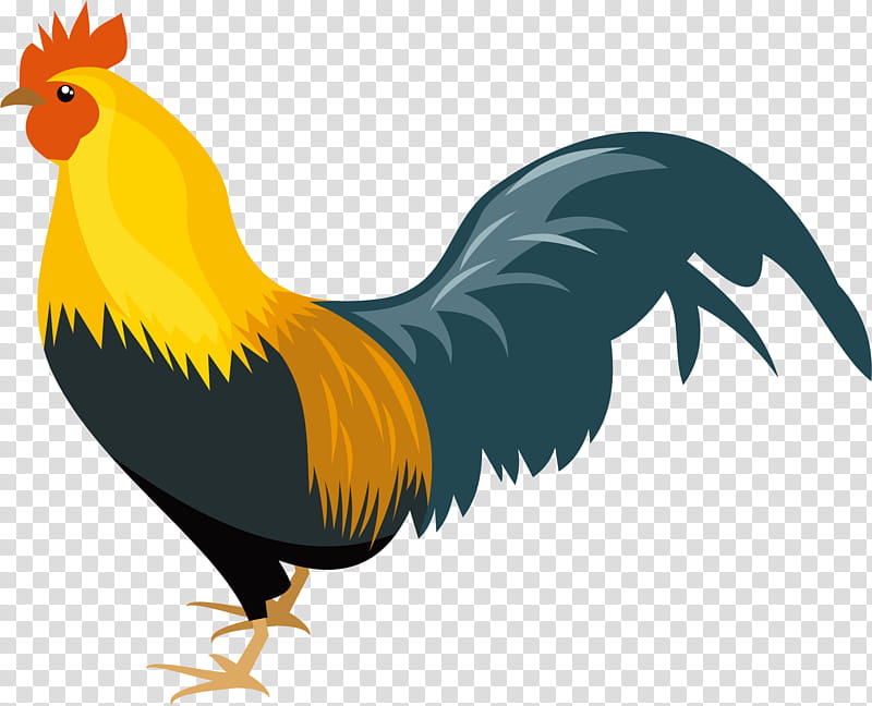 chicken bird rooster beak wing, Comb, Live, Tail transparent background PNG clipart