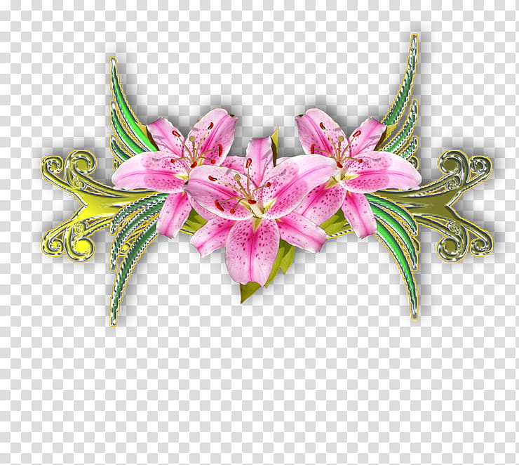 Lily Flower, Pink, Plant, Stargazer Lily, Cut Flowers, Petal, Lily Family, Amaryllis Belladonna transparent background PNG clipart