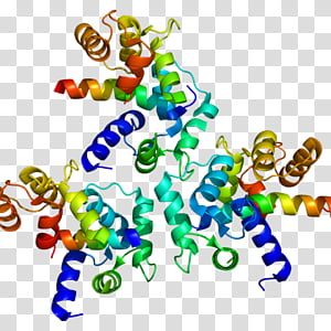 Ltype Calcium Channel Animal Figure, Voltagegated Calcium Channel, Cav12, Voltagegated Ion Channel, Cav13, Protein Subunit, Calcium Channel Blocker, Gene transparent background PNG clipart thumbnail