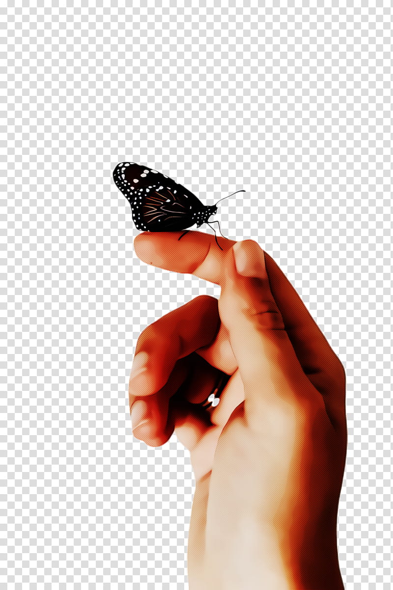 Monarch butterfly, Finger, Insect, Hand, Moths And Butterflies, Thumb, Pollinator, Nail transparent background PNG clipart