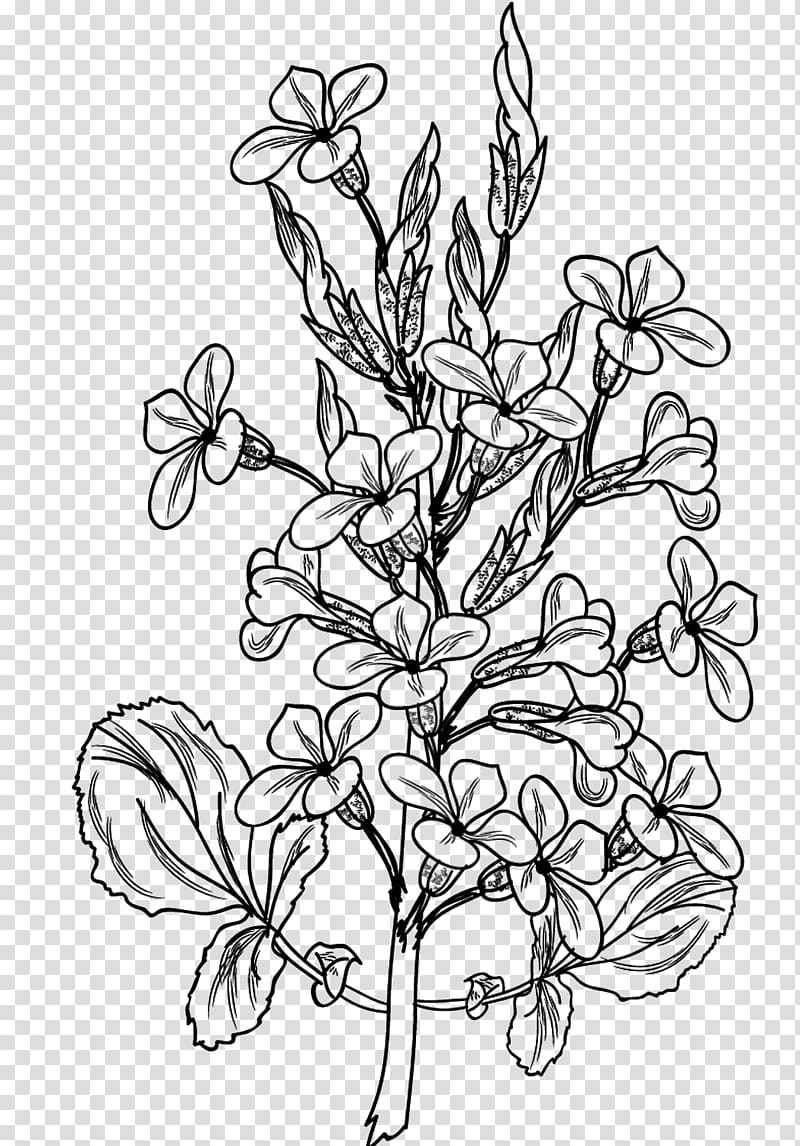 Spring flowers brushes , black flower illustration transparent ...