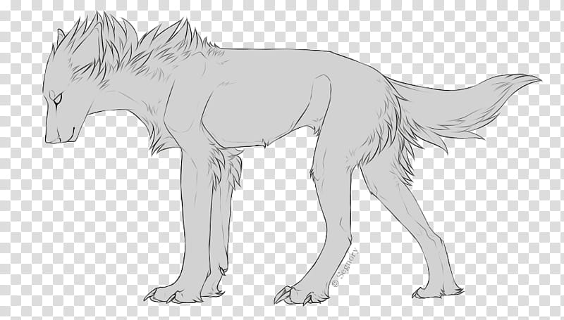 Canine Lineart, gray wolf illustration transparent background PNG clipart