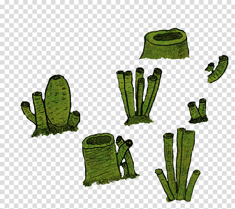 Possible brush byStarcave transparent background PNG clipart