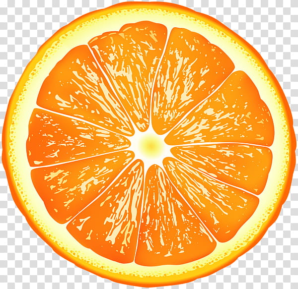 Lemon Slice, Orange, Mandarin Orange, Clementine, Orange Slice, Tangerine, Citrus, Rangpur transparent background PNG clipart