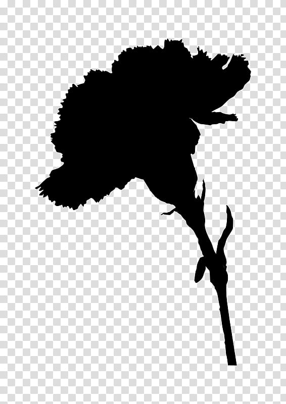 Leaf Silhouette, Carnation, Mothers Day, Black, Tree, Logo, Plant, Blackandwhite transparent background PNG clipart