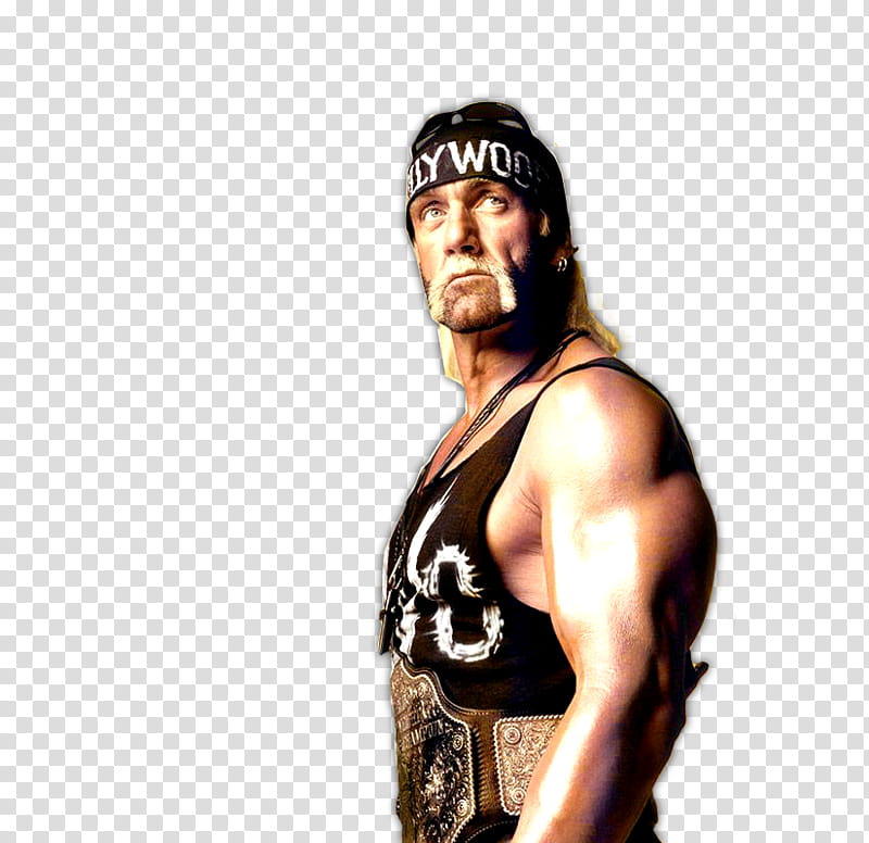 Hulk Hogan Render Fixed some bug transparent background PNG clipart