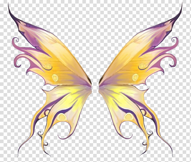 Recursos de ChiHoon y Shin Yeong, yellow and purple butterfly wings transparent background PNG clipart