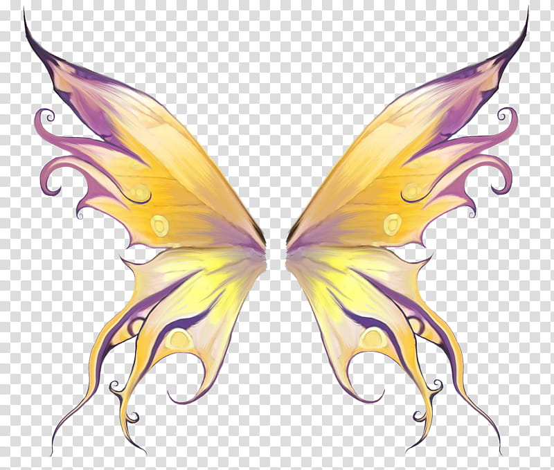 Recursos, yellow and purple butterfly wings cartoon transparent background PNG clipart