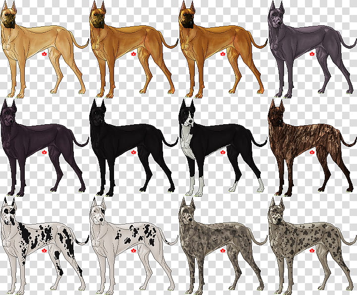 Free Great Dane Premades, assorted-color Doberman dogs transparent background PNG clipart