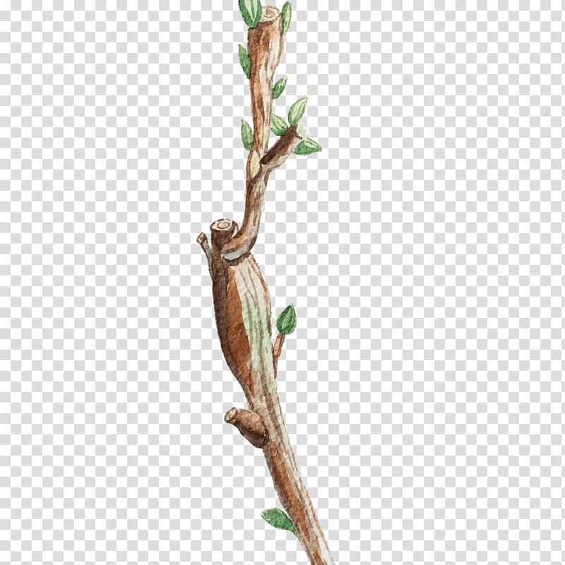 Watercolor Flower, Watercolor Painting, Leaf Painting, Drawing, Twig, Maltechnik, Composition, Branch transparent background PNG clipart