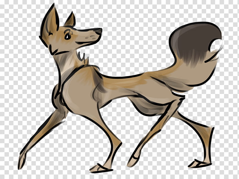 Fox, Dog, RED Fox, Deer, Macropods, Breed, Wildlife, Tail transparent background PNG clipart