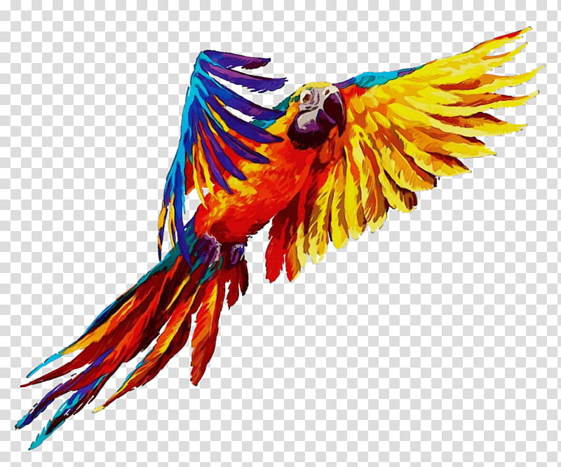 bird macaw wing parrot beak, Watercolor, Paint, Wet Ink, Budgie transparent background PNG clipart