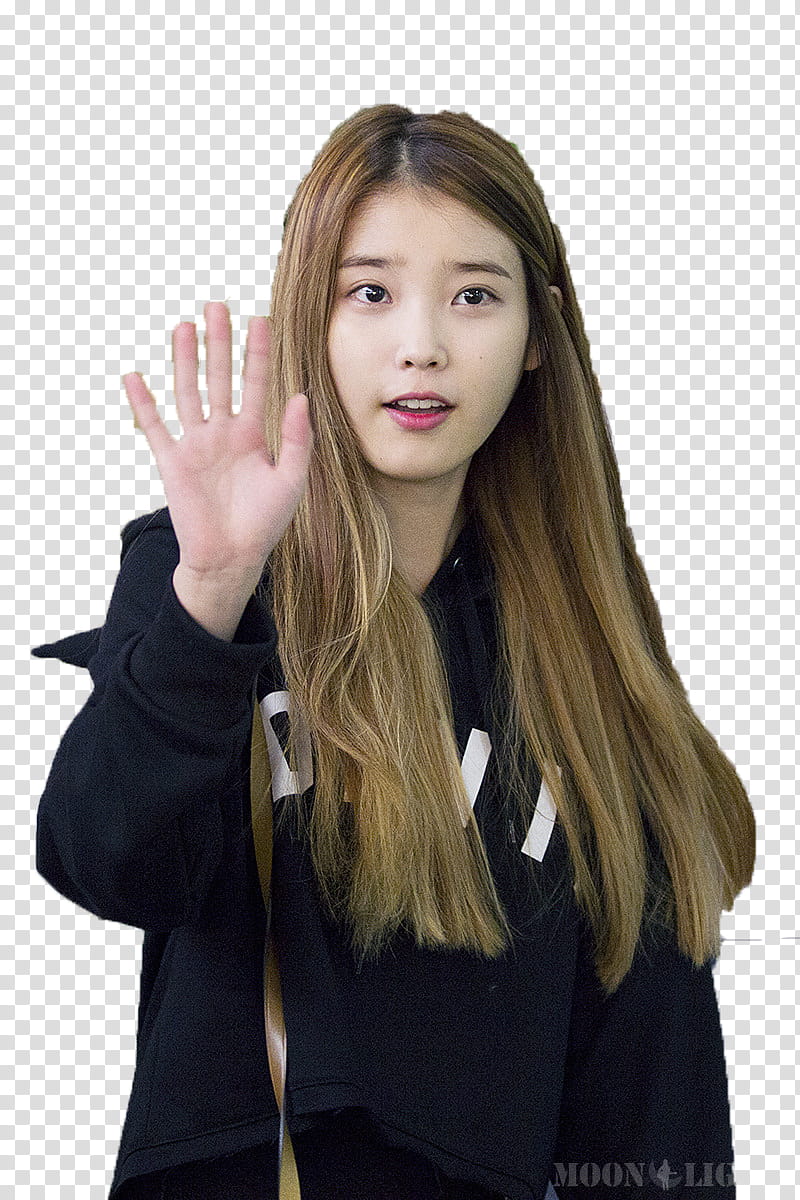 IU airport transparent background PNG clipart