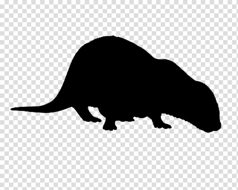 Tasmanian Devil, Mustelids, Silhouette, Snout, Animal, Animal Figure, Wildlife, Tail transparent background PNG clipart