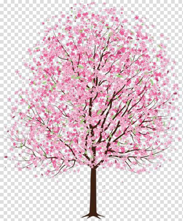 Cherry Blossom Tree Drawing, National Cherry Blossom Festival, Cherries, Pencil, Watercolor Painting, Japanese Art, Pink, Plant transparent background PNG clipart