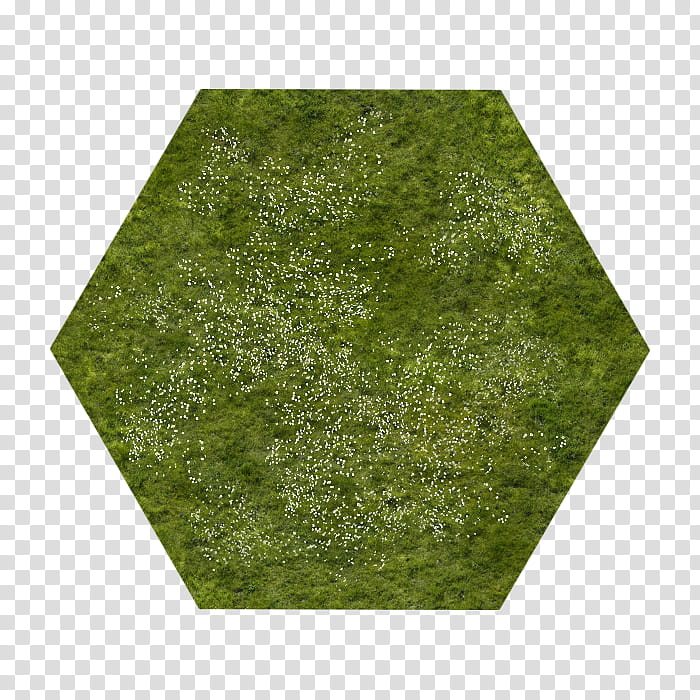 RPG Map Tiles , green field illustration transparent background PNG clipart
