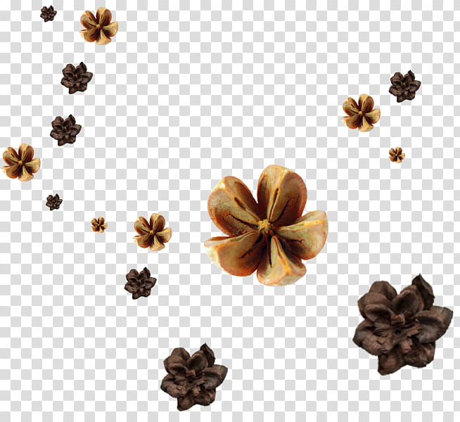 Watercolor Flower, Watercolor Painting, Lofter, Brown, Plant, Cinnamon, Star Anise, Spice transparent background PNG clipart