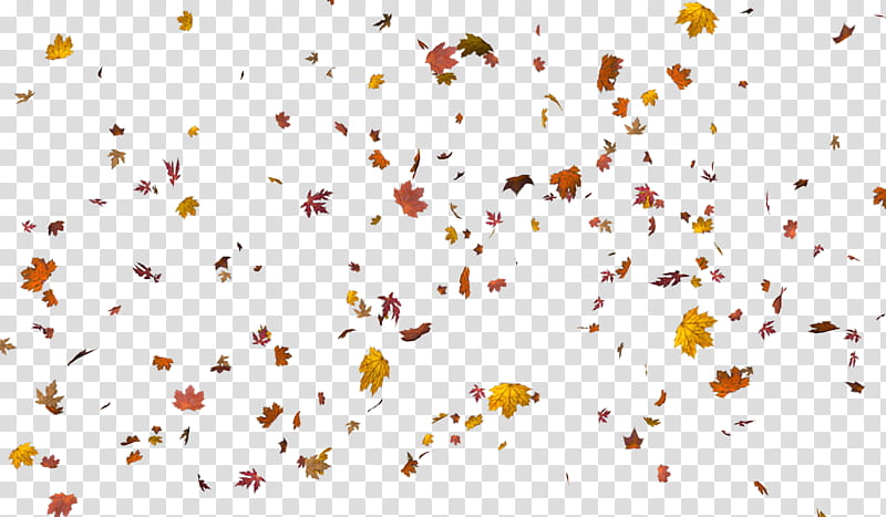 leaf scatter, leaves falling transparent background PNG clipart