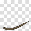 Spore creature European Adder female transparent background PNG clipart