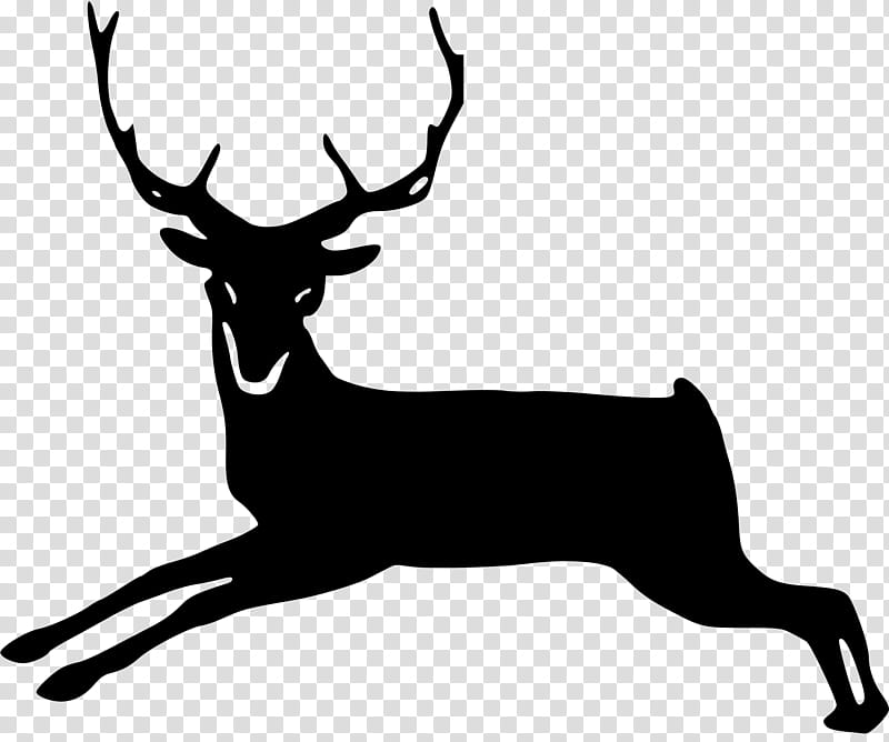 graphy Logo, Whitetailed Deer, Elk, Moose, Antler, Reindeer, Silhouette, Mule Deer transparent background PNG clipart