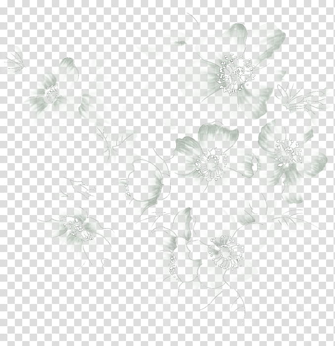 Black And White Flower, Drawing, Cartoon, Logo, Black And White
, Petal, Flora, Still Life transparent background PNG clipart