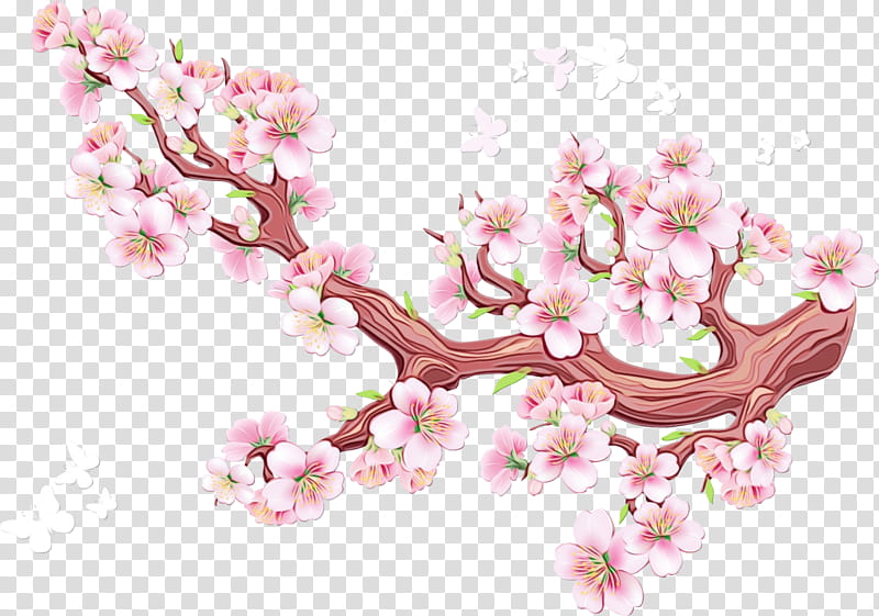 Sakura Tree, Watercolor, Paint, Wet Ink, Cherry Blossom, Sakura Haruno, Drawing, Blog transparent background PNG clipart