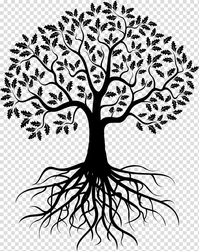 Tree Trunk Drawing, Silhouette, Oak, Root, Branch, Line Art, Plant, Leaf transparent background PNG clipart