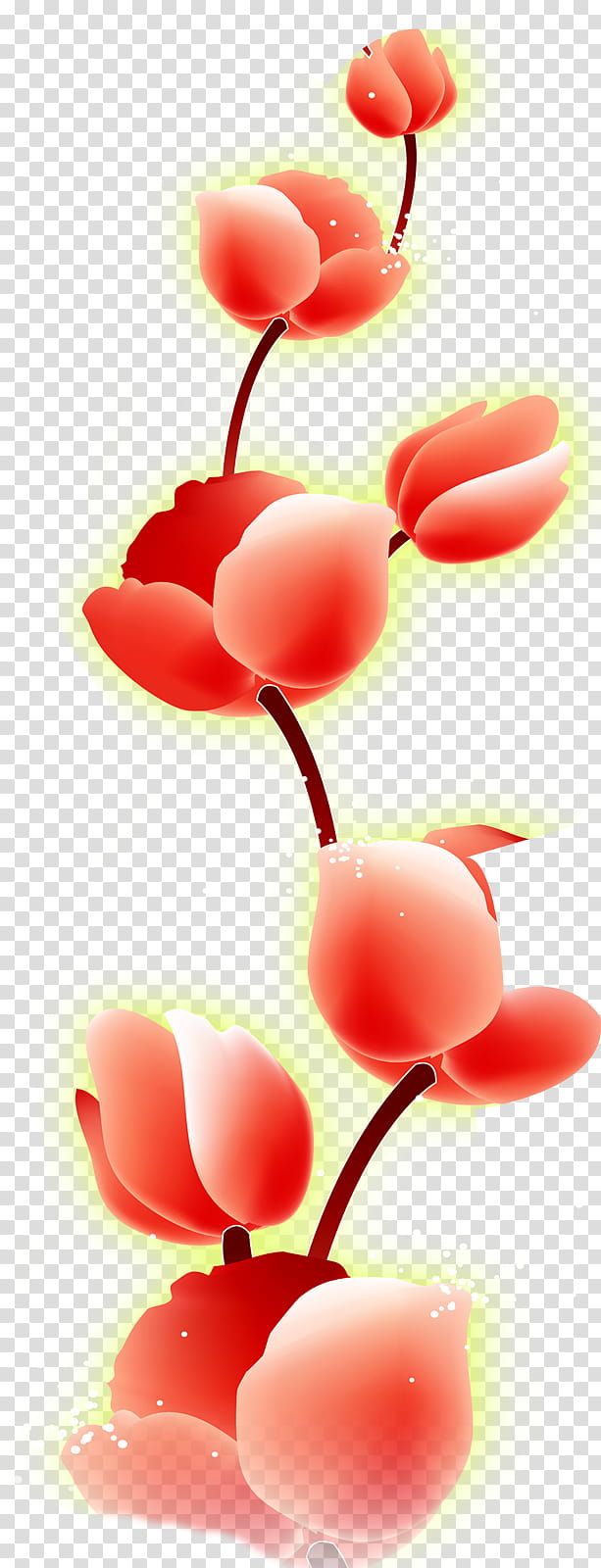 flower border, Red, Pink, Petal, Plant, Tulip, Heart transparent background PNG clipart