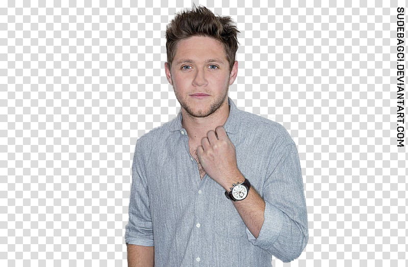 Niall Horan transparent background PNG clipart