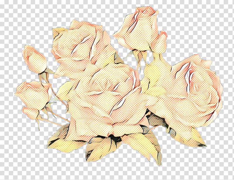 pop art retro vintage, Garden Roses, Cabbage Rose, Cut Flowers, Floral Design, Flower Bouquet, Petal, Pink M transparent background PNG clipart