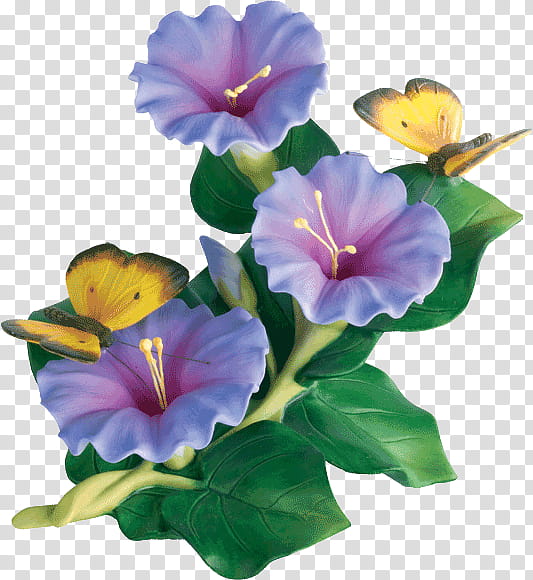 Blue Iris Flower, Japanese Morning Glory, Violet, Purple, Blue Dawn Flower, Annual Plant, Violet Family, Four O Clock Family transparent background PNG clipart