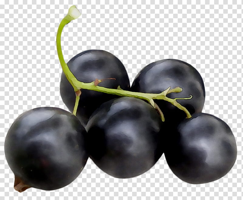 Grape, Zante Currant, Blueberry, Bilberry, Huckleberry, Stxea Nr Eur, Damson, Superfood transparent background PNG clipart