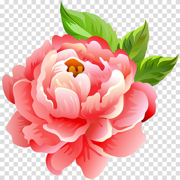 Artificial flower, Pink, Petal, Plant, Common Peony, Chinese Peony, Cut Flowers, Saxifragales transparent background PNG clipart