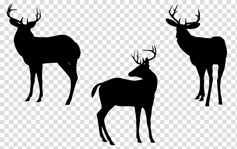 Reindeer, Elk, Whitetailed Deer, Antler, Black White M, Silhouette, Wildlife, Antelope transparent background PNG clipart