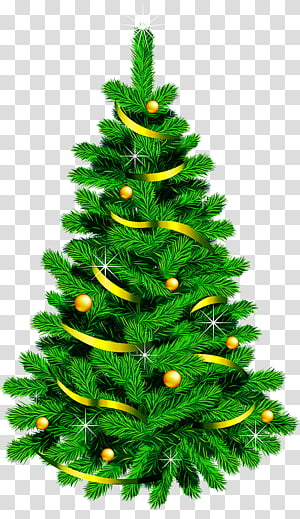 Christmas tree, Shortleaf Black Spruce, Balsam Fir, Colorado Spruce, Yellow Fir, Oregon Pine, Christmas Decoration, Canadian Fir transparent background PNG clipart thumbnail