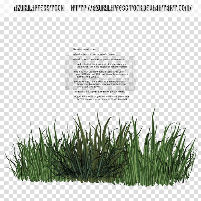 D object grass, green grass art transparent background PNG clipart