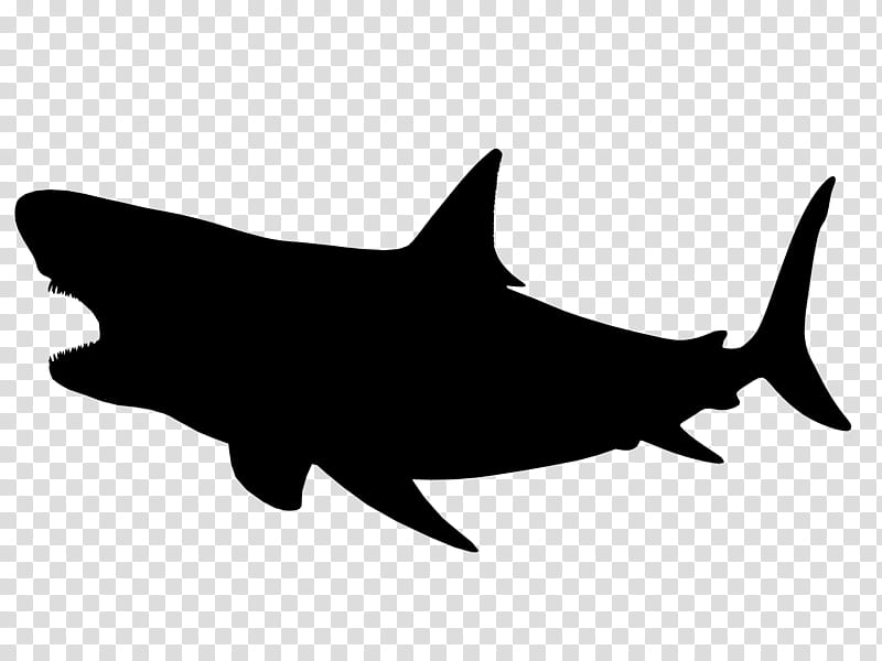 Great White Shark, Silhouette, Wildlife, Fish, Fin, Cartilaginous Fish, Lamniformes, Requiem Shark transparent background PNG clipart