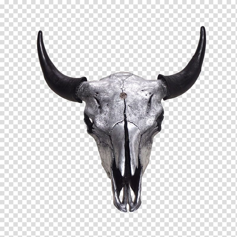 Skull, Snout, Horn, Bovine, Wildlife, Water Buffalo, Bull, Working Animal transparent background PNG clipart