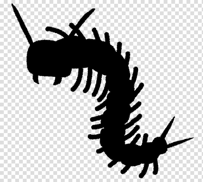 Caterpillar, Silhouette, Insect, Membrane, White, Centipede, Blackandwhite, Pest transparent background PNG clipart