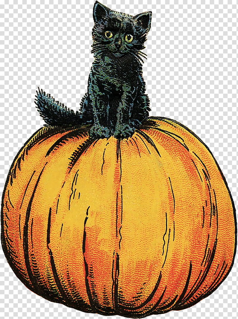 Halloween Pumpkin Art, Thackery Binx, Whiskers, Cat, Winifred Sanderson, Mary Sanderson, Halloween , Jackolantern transparent background PNG clipart