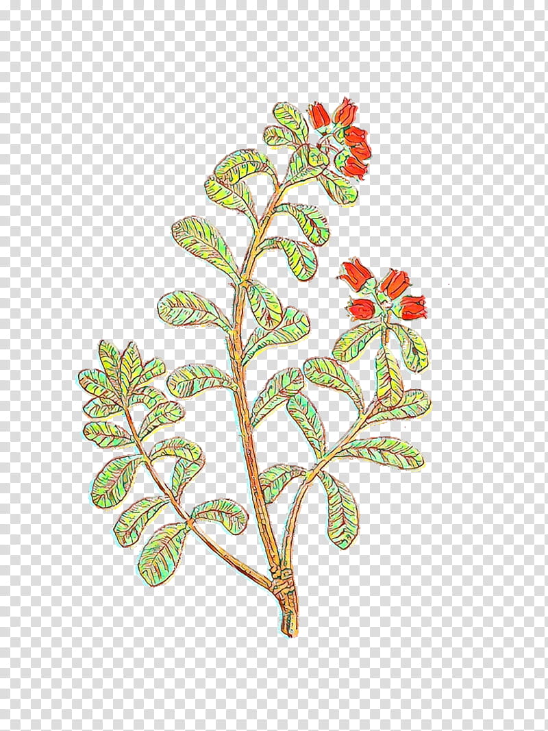 Flower Stem, Branch, Plant Stem, Leaf, Plants, Sorbus, Geranium transparent background PNG clipart