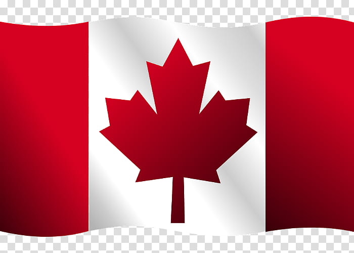 Canada Maple Leaf, Canada Day, Flag Of Canada, Drawing, National Symbols Of Canada, Flag Of Toronto, Red, Tree transparent background PNG clipart