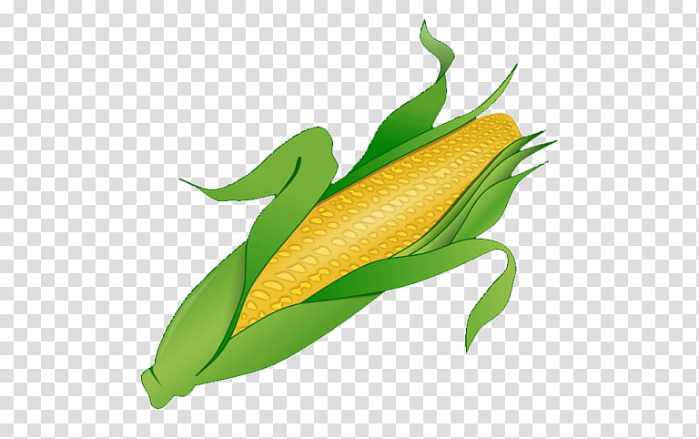 Popcorn, Corn On The Cob, Esquites, Flint Corn, Sweet Corn, Baby Corn, Leaf, Yellow transparent background PNG clipart