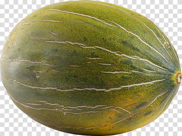 Watermelon, Cantaloupe, Honeydew, Galia Melon, Hami Melon, Squash, Fruit, Food transparent background PNG clipart