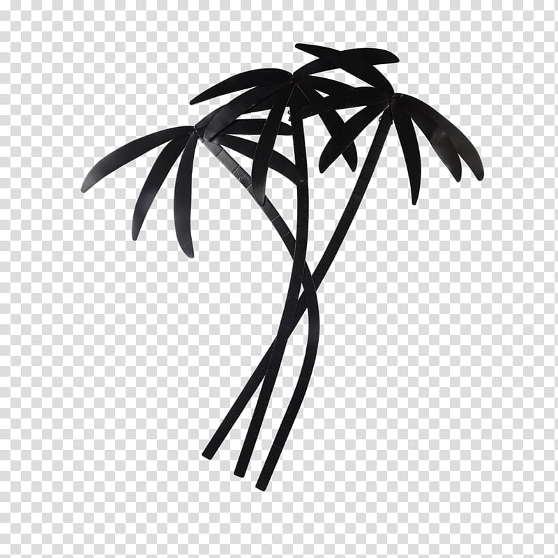 Palm tree, Leaf, Plant, Woody Plant, Blackandwhite, Branch, Arecales, Plant Stem transparent background PNG clipart