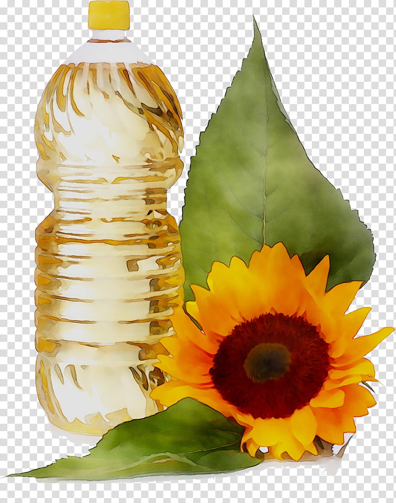 Sunflower, Common Sunflower, Sunflower Oil, Vegetable Oil, Sunflower Seed, Refining, Winterization Of Oil, Fat transparent background PNG clipart