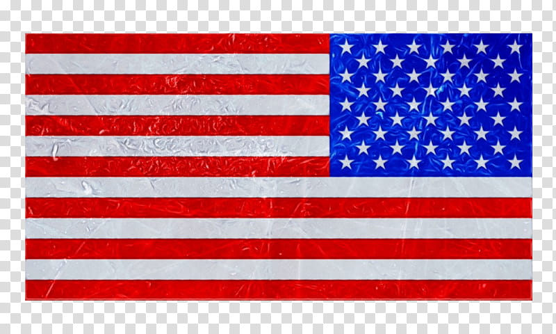 Veterans Day United States, Flag Of The United States, Palisades Center, Apollo 11, Space, Textile, Seaman Corporation, Nasa transparent background PNG clipart