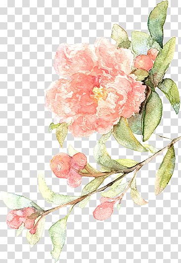 Watercolor Flower, red petal flower painting transparent background PNG clipart